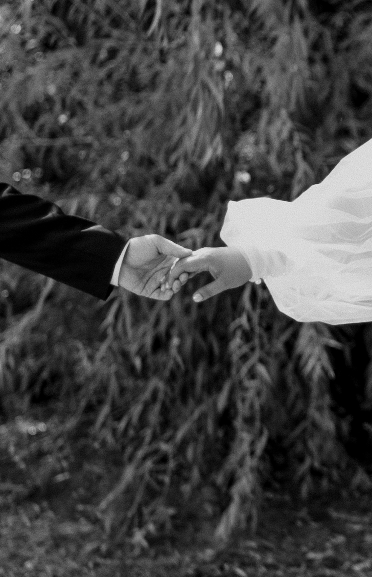 Mariage, Montreal,quebec, Lifestyle, Photographe, famille, wedding, Summer, outdoor,